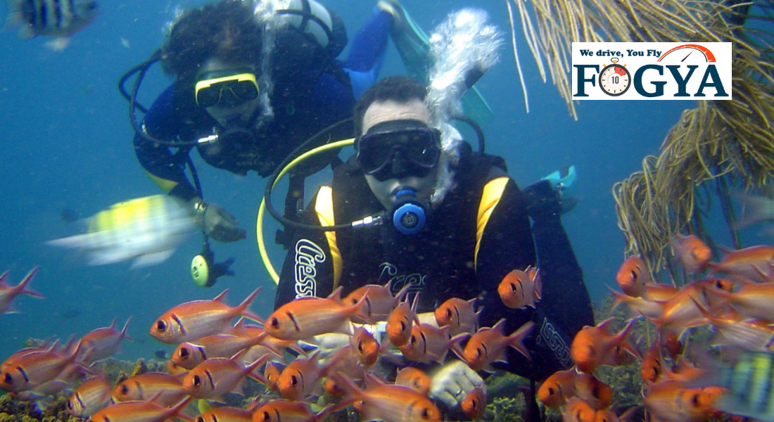 Marmaris'in en güzel koylarında su altını keşfetmek için eşsiz bir fırsat, profesyonel hocalar eşliğinde dalışa katılabilirsiniz.